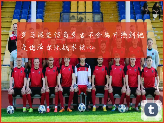 罗马诺坚信乌多吉不会离开热刺他是德泽尔比战术核心
